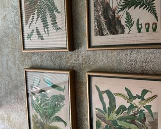 BOTANICAL PRINTS