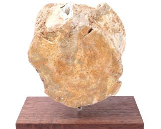 Lot 268 Mounted Petrified Wood Specimen