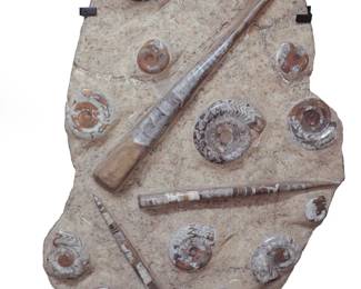 Lot 277 Large Fossil Panel, extracted late 20th C.