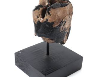 Lot 270 Woolly Rhinoceros Fossil Molar Fragment