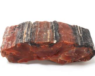 Lot 267 Arizona Petrified Wood Speciman