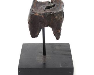 Lot 269 Woolly Rhinoceros Fossil Tooth Fragment on Stand, Pleistocene Period