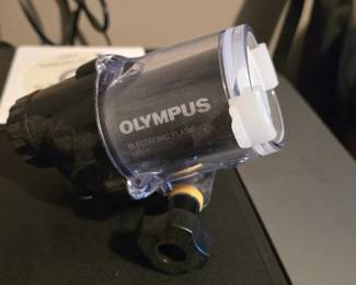 Olympus underwater flash