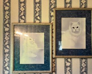 Cats!