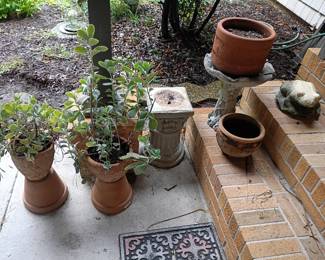 Plants