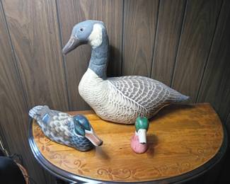 Ducks