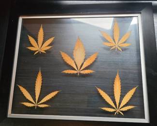pot leaves frames