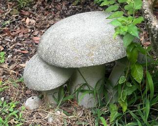 Garden Mushrooms