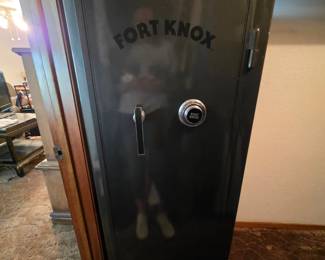 Vertical gun safe