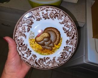 Spode Thanksgiving 