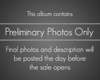 Preliminary Photos Only Notification Slide