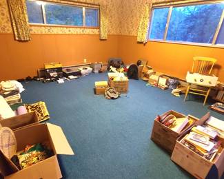 All free: fabrics, linens, cameras, computer and tech items, toys, books, movies, music, and a small amount of clothing!!!
