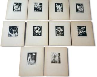 Collection of Mid Century Photograms, Milwaukee