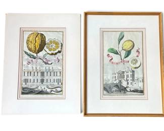 JOHANN CHRISTOPH VOLCKAMER (German, 1644-1740) Citrus Colored Engravings. 