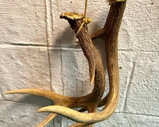 Whitetail Deer Antler Wall Decor