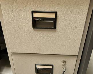 SentrySafe R4132 2-Drawer Fireproof File Cabinet