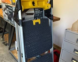 Cosco 3-Step Folding Step Ladder