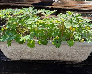 Rectangular Concrete Style Planter
