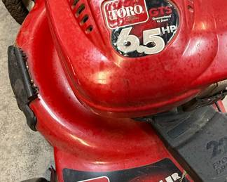 Toro Recycler 6.5 HP GTS 22-Inch Lawn Mower