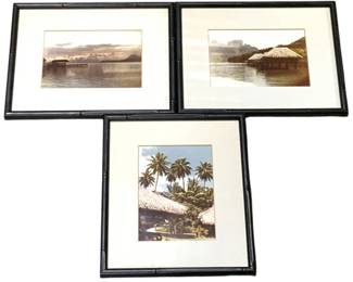 2860 - 3 Bamboo Style Framed Prints - 9.5 x 11.5