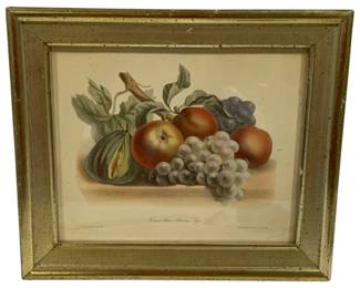 7385 - Framed Fruit Still Life by Borghese Print, 13 x 15