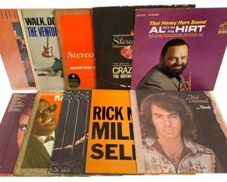 6751 - 10 Assorted LP Records