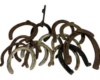 7379 - Assorted Horseshoes
