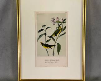 Antique 19th C. lithograph of pair of Wilson’s Flycatching-Warblers by John J. Audubon, printed and hand-colored by J. T. Bowen, Philadelphia, one of the leading American printmakers in the 19th century. Framed with UF3-protective plexiglass by Douglas Kenyon Inc., of Chicago. Framed size 11-5/8”W x 14-1/2”H.