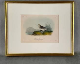 Antique 19th C. lithograph of a Bairds Bunting by John J. Audubon, printed and hand-colored by J. T. Bowen, Philadelphia, one of the leading American printmakers in the 19th century. Framed with UF3-protective plexiglass by Douglas Kenyon Inc., of Chicago. Framed size 14-1/2”W x 11-1/2”H.