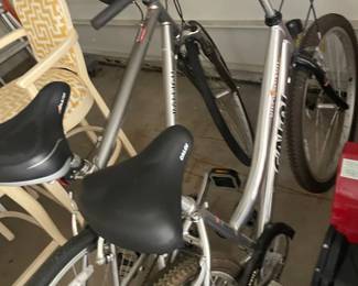 005 Raleigh Giant Silver Mountain Bikes Pair