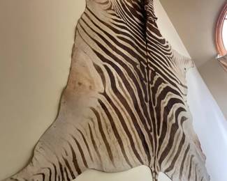044 Mounted Zebra Hide Wall Trophy