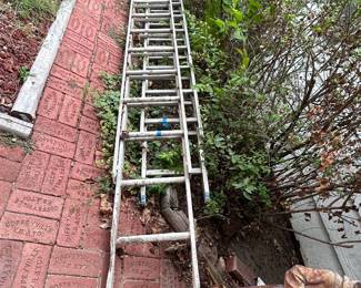 Two long ladders 