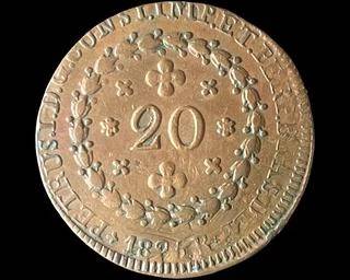 wIMG 4232 t