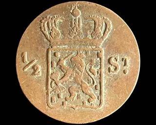 wIMG 3984 t