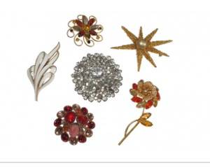 Vintage Mid-Century Brooch Lot with Coro & Capri Pieces