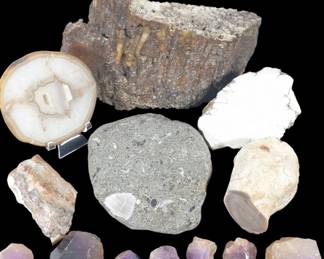 Assorted Fossilized Coral, Lace Agate, Howlite Specimen & More