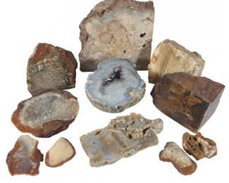 Collection of Agate, Geode, Chalcedony & Petrified Wood Mineral Specim
