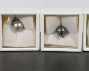 Four Loose Tahitian Pearls 9-10.5mm Gray & Peacock