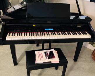 Viscount Digital Grand Piano / No lessons required.