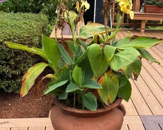 Large Terra Cotta Planter And Pot