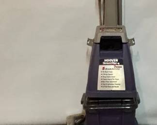 Hoover Steam Vac Deluxe