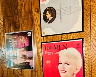 Framed vintage record albums