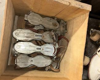 Roller Skates