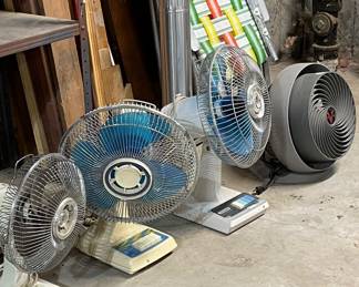 Fans