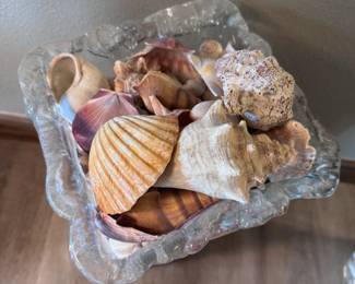 Shells Tall Top
