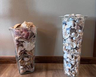 Assorted Seashells in tall vases