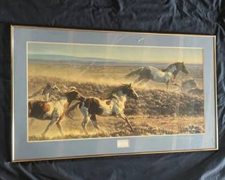 64 Charles Summers Jr. 1985 Wildlife Photographer of the Year Cheetah  Springbok  Aurora, CO Photograp