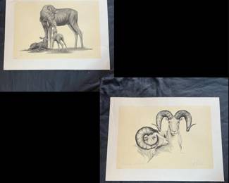 124 oug Lindstrand Signed Wildlife Prints  The Tender Wild Moose  Mountain Monarchs Dall Sheep  Set