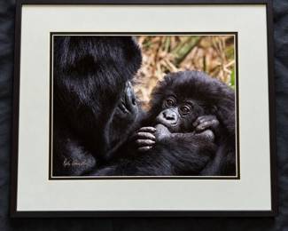66 Rita Summers Local Aurora, CO Artist Signed Gorilla Mother  Baby Wildlife Photograph