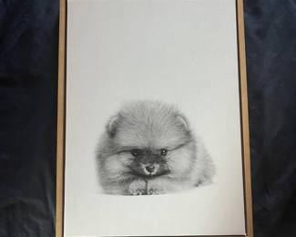 103 Simon Te Pomeranian Puppy Framed Canvas Art Print